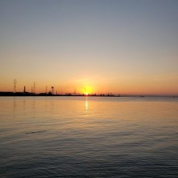 青物終わった！？