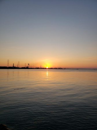 青物終わった！？