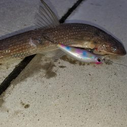 おじさんに一言…