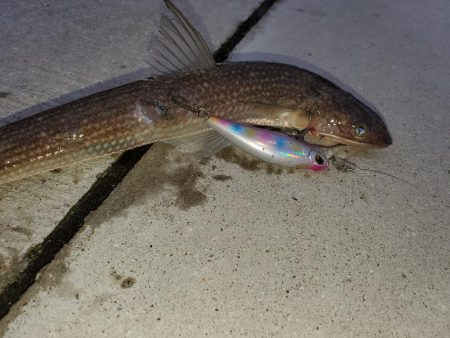 おじさんに一言…