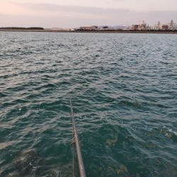 SLSJでメバリング