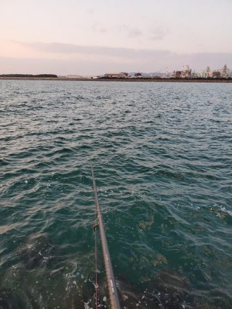 SLSJでメバリング