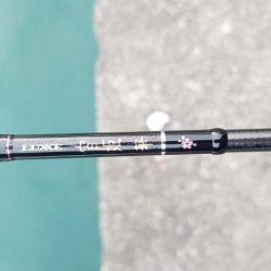 新ロッドでアジング