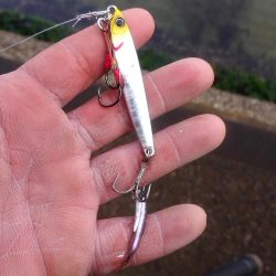 何かが釣れる気配で……