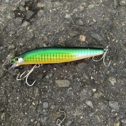 新春初釣り シーバス!!