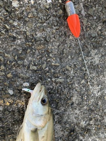 大荒れ後の荒喰い