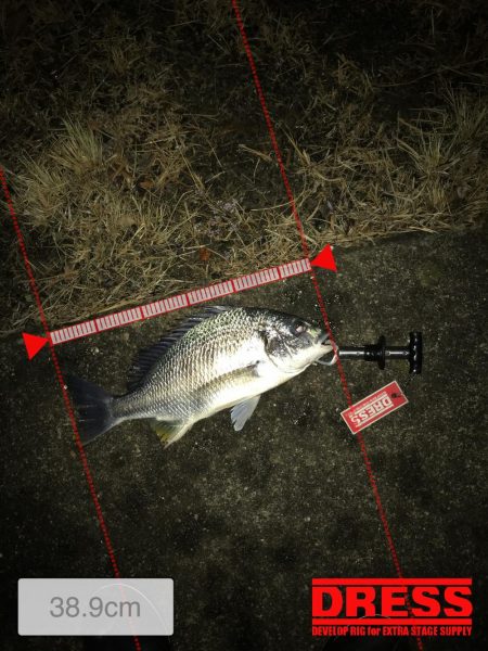 1月24日ラインブレイクのバラシはアカン