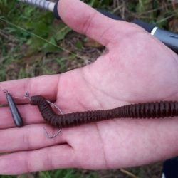 真冬の紀の川本流バス！！