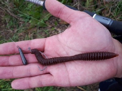 真冬の紀の川本流バス！！
