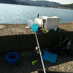 宇佐の中堤防で釣り初め