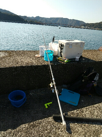 宇佐の中堤防で釣り初め