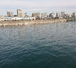 初釣り