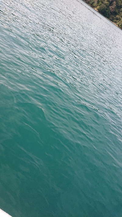 ボートキャスティング