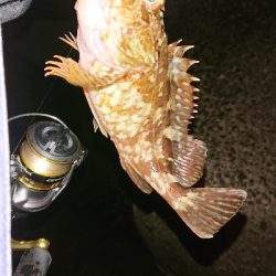 活性高く楽しめた♪