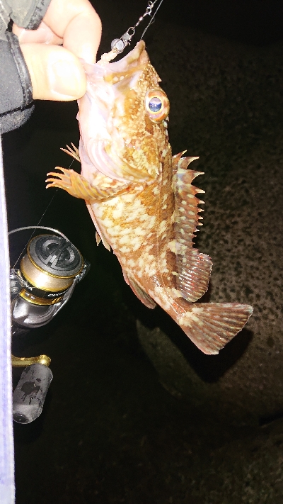 活性高く楽しめた♪