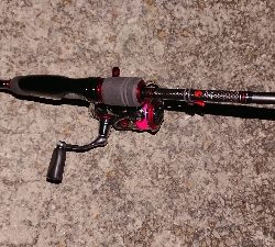 この時期は渋い