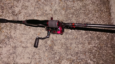 この時期は渋い