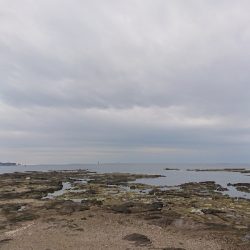 激サムエギング&汗かきLSJ