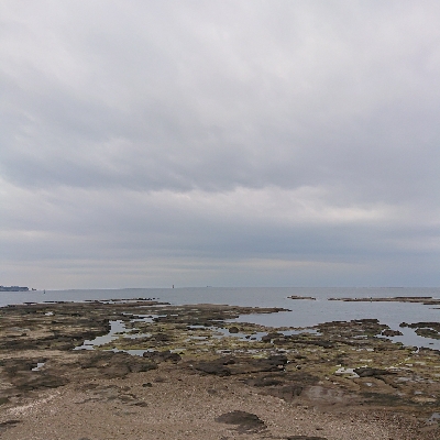 激サムエギング&汗かきLSJ