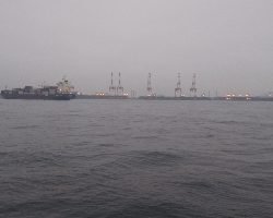 もうタコ釣ってしまった