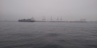 もうタコ釣ってしまった