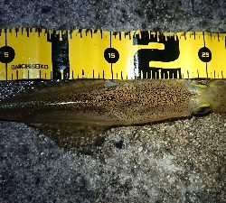 天気が雨予報前に