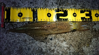 天気が雨予報前に