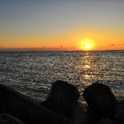 初釣りはアオリイカ