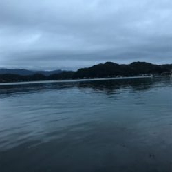 釣納めにメバル