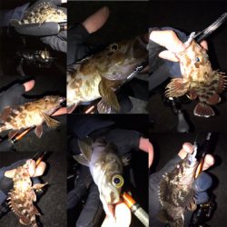 初釣り、そして入魂