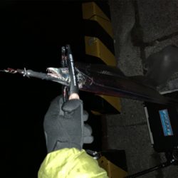 新年あけまして、タチウオ釣れました。