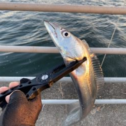 新年2日目、何とか形に