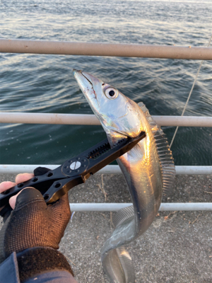 新年2日目、何とか形に
