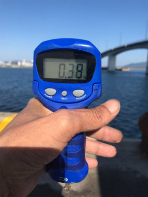 鹿児島帰省でアオリイカ  GET!