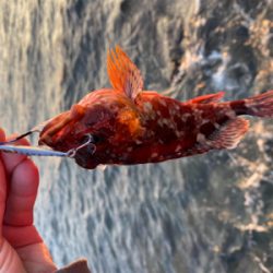 今年2回目の釣り