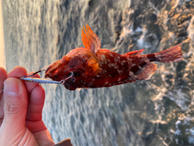 今年2回目の釣り