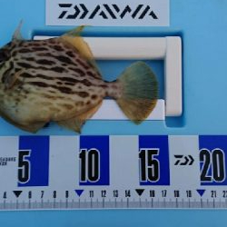 令和 2年  初釣り