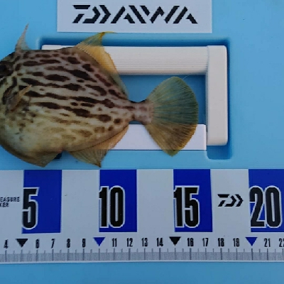 令和 2年  初釣り