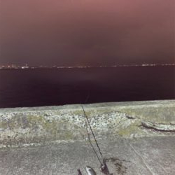 シーバス誕生日釣行