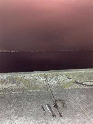 シーバス誕生日釣行