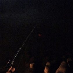 カサゴやメバルなど