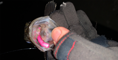 ２０２０年もバンバン釣ります！