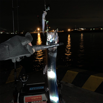 仕事始めのタチウオ