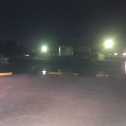 カマス釣れてます