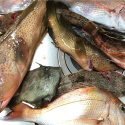 新年初の一つテンヤ釣り