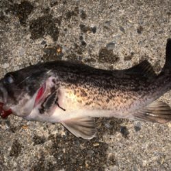 （´-`）.｡oO(冬は汁系ワームだねぇ