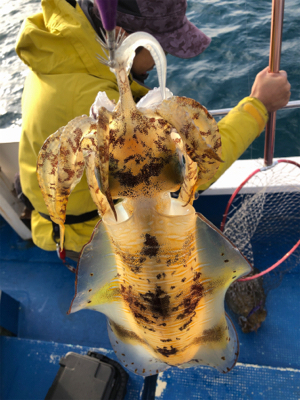 初釣りは満足のティップラン