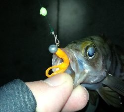 ナイトメバリング