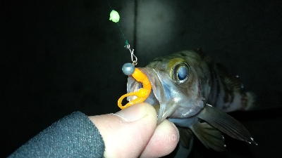 ナイトメバリング