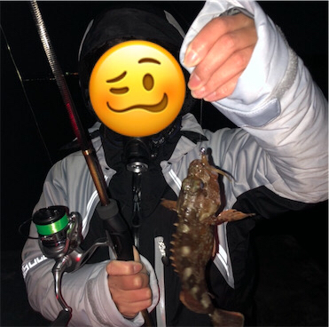 明石アジング☆初心者でも釣れた!